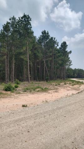Tract 82 Collin Street Lovelady TX 75851