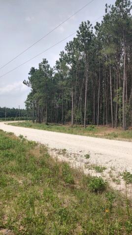 Tract 82 Collin Street Lovelady TX 75851