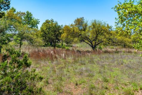 620 Whiskey Trail Blanco TX 78606