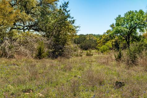620 Whiskey Trail Blanco TX 78606