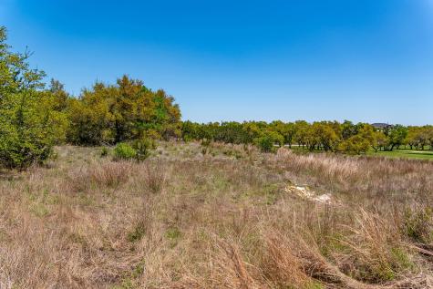620 Whiskey Trail Blanco TX 78606