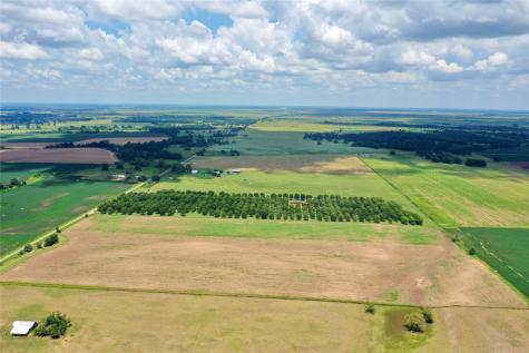 2523 S County Road 267 Elm Grove TX 77434