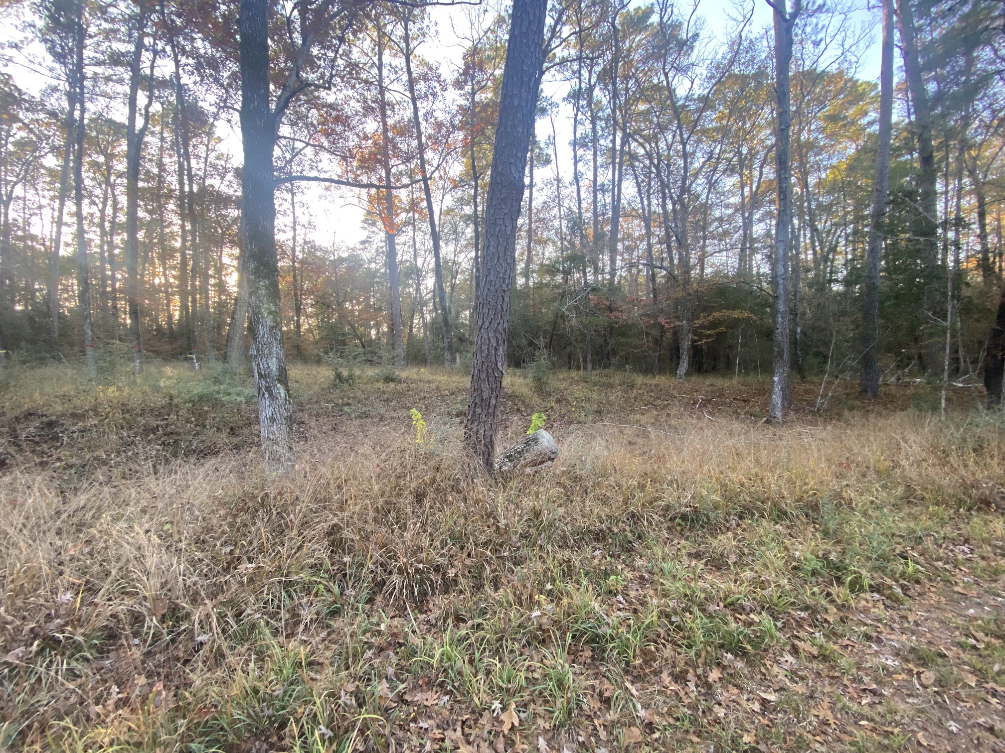 26721 E Pecan Circle Huntsville TX 77320