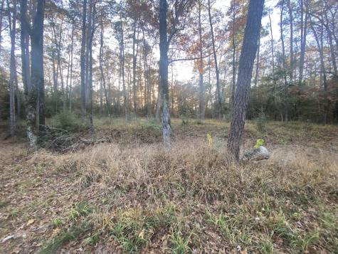 26721 E Pecan Circle Huntsville TX 77320