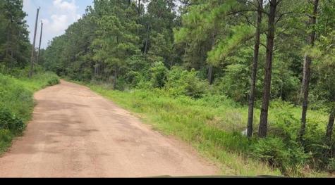 13 Scarlet Oak Drive Plantersville TX 77363