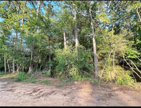 13 Scarlet Oak Drive Plantersville TX 77363