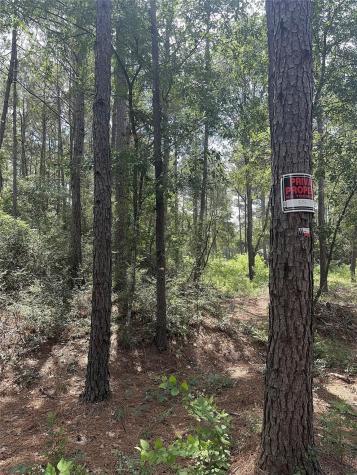13 Scarlet Oak Drive Plantersville TX 77363