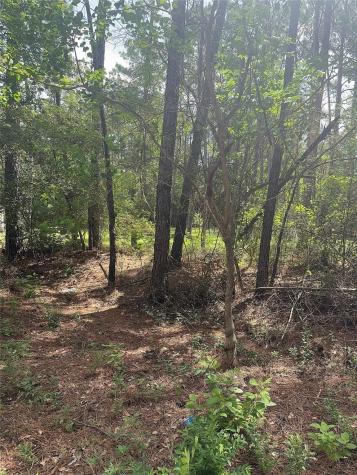 13 Scarlet Oak Drive Plantersville TX 77363