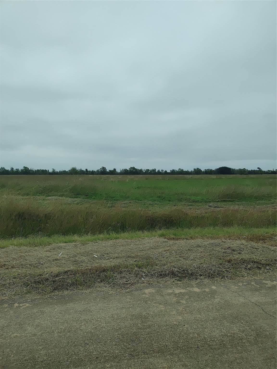 Lot 128 Stampede Trail Angleton TX 77515