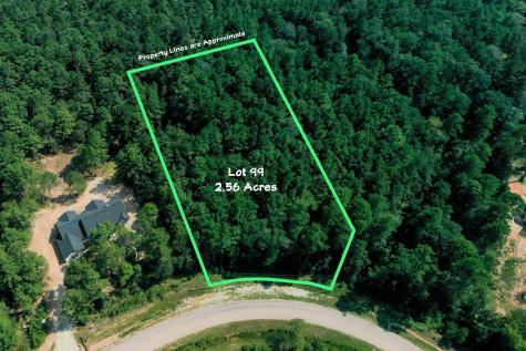 Lot 99 Red Hawk Road Huntsville TX 77340
