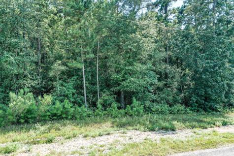 Lot 99 Red Hawk Road Huntsville TX 77340