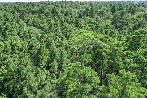 Lot 99 Red Hawk Road Huntsville TX 77340