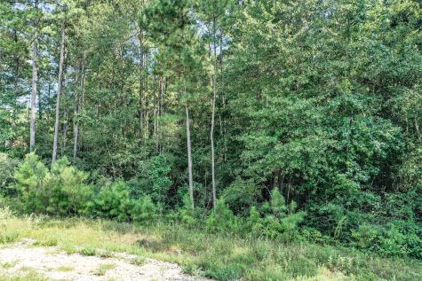 Lot 99 Red Hawk Road Huntsville TX 77340