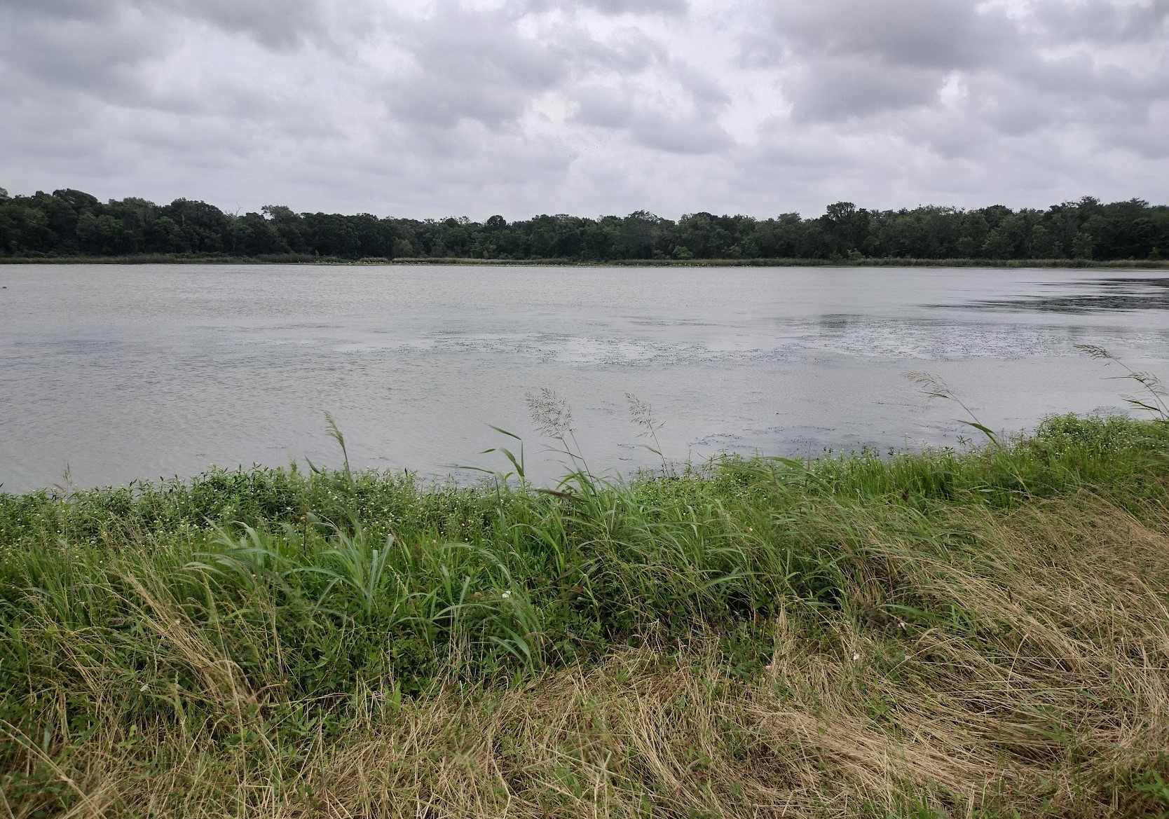 Fm 521 Barx Ranch Sec 17 Blk 3 Angleton TX 77515