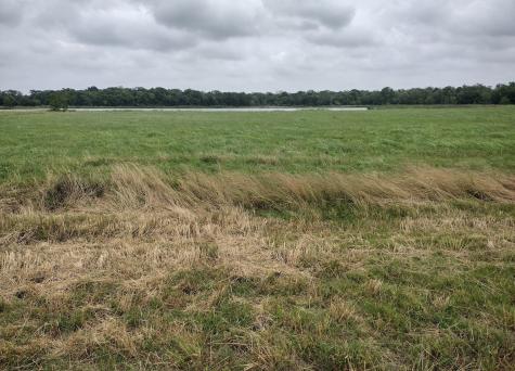 Fm 521 Barx Ranch Sec 17 Blk 3 Angleton TX 77515
