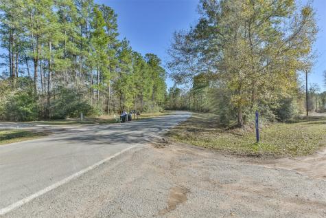 0 Baneberry Road Magnolia TX 77355