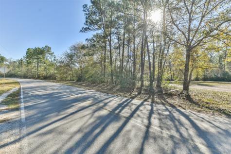 0 Baneberry Road Magnolia TX 77355