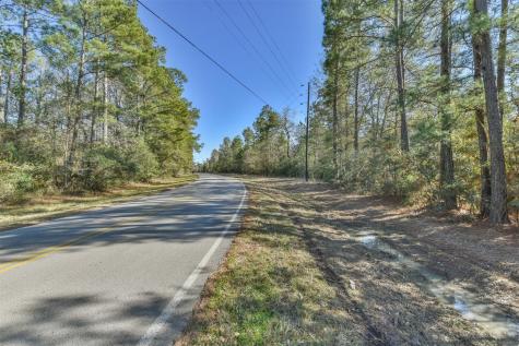 0 Baneberry Road Magnolia TX 77355