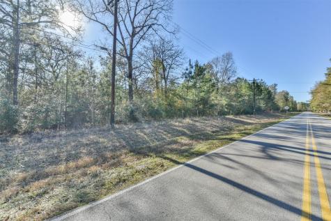0 Baneberry Road Magnolia TX 77355