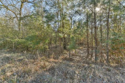 0 Baneberry Road Magnolia TX 77355
