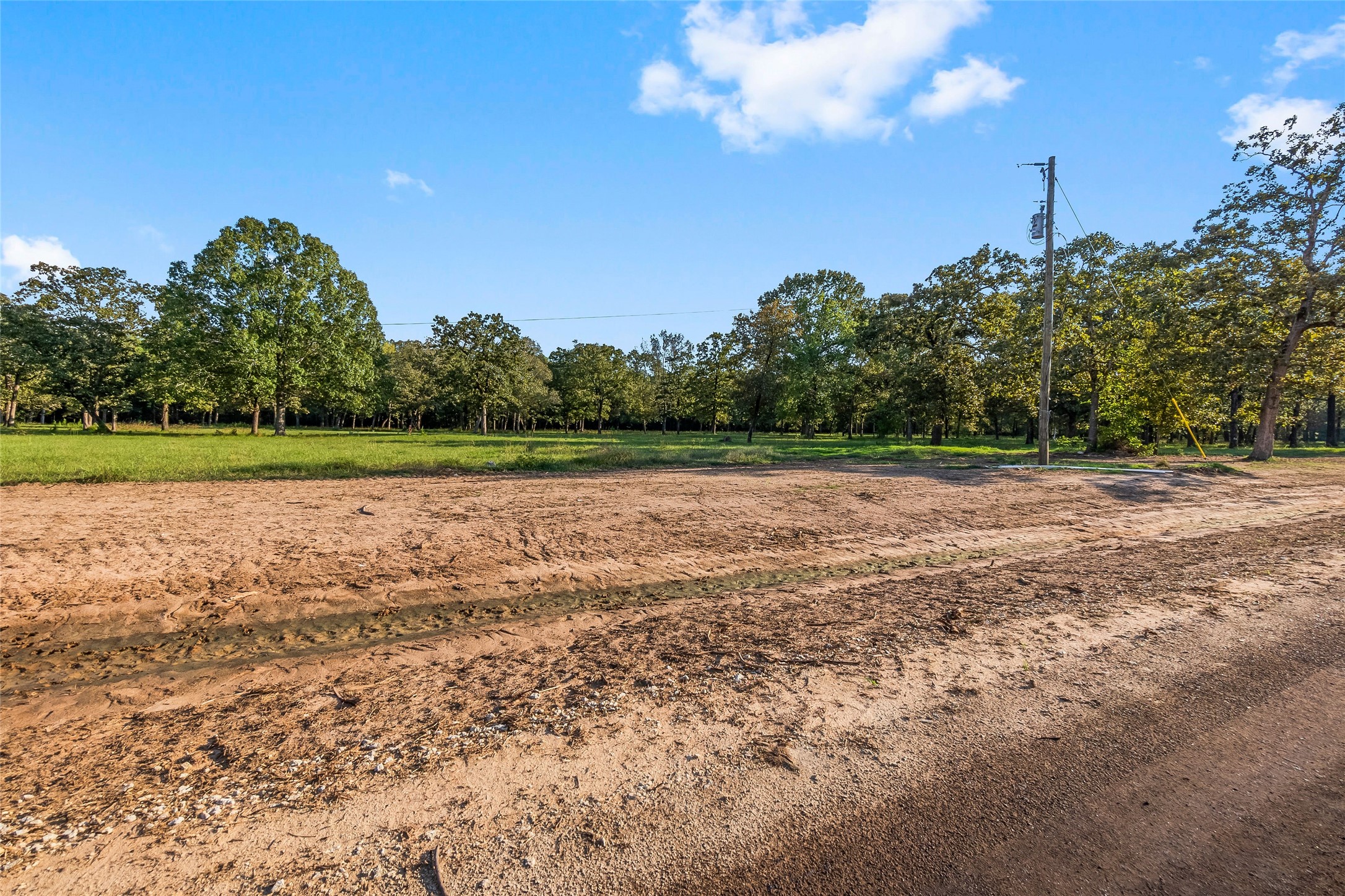 6124 Alans Memorial Lane New Waverly TX 77358
