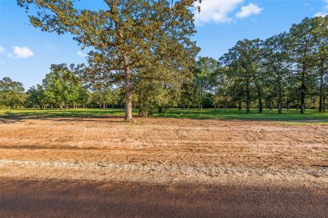 6124 Alans Memorial Lane New Waverly TX 77358