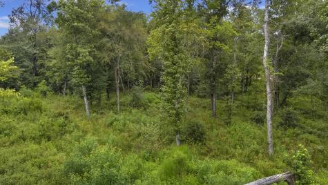 396 County Road 310 Cleveland TX 77327