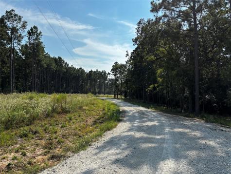 0000 Motely Way Lovelady TX 75851