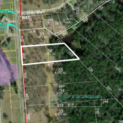 Lot 36 Lake Livingston Lane Trinity TX 75862