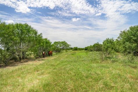 6144 Fm 2237 Flatonia TX 78941