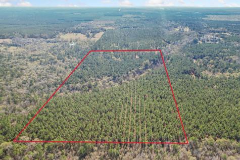 473 County Road 2125 Cleveland TX 77327