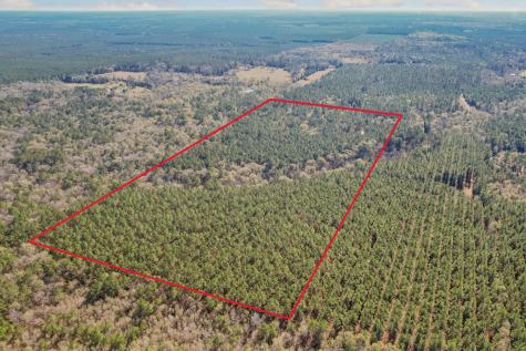 473 County Road 2125 Cleveland TX 77327
