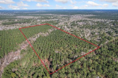 473 County Road 2125 Cleveland TX 77327
