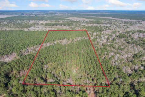473 County Road 2125 Cleveland TX 77327