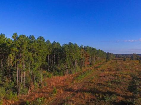 000 Fm 223 Shepherd TX 77371