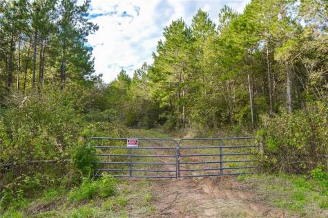 000 Fm 223 Shepherd TX 77371