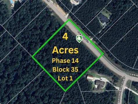 0 Larkspur Lane New Waverly TX 77358