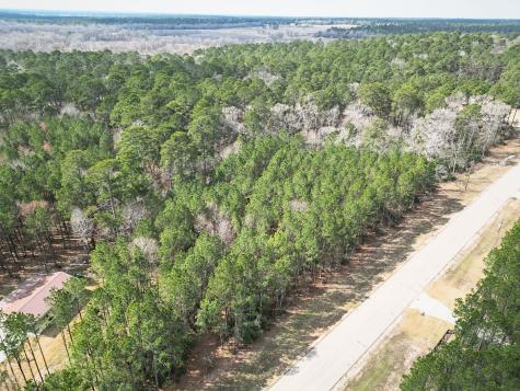 0 Larkspur Lane New Waverly TX 77358