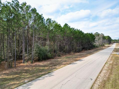0 Larkspur Lane New Waverly TX 77358