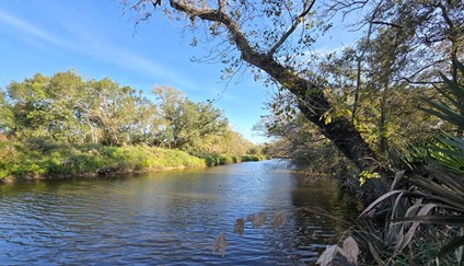 000 Bayou Road Danbury TX 77534