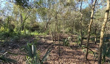 000 Bayou Road Danbury TX 77534