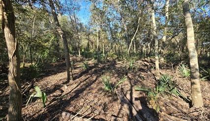 000 Bayou Road Danbury TX 77534