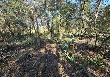000 Bayou Road Danbury TX 77534