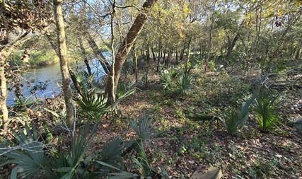000 Bayou Road Danbury TX 77534