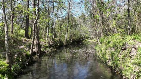 0 County Road 119 Ledbetter TX 78946