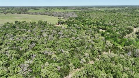 0 County Road 119 Ledbetter TX 78946