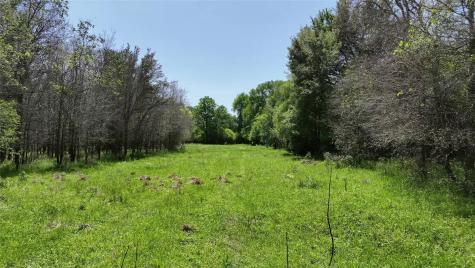 0 County Road 119 Ledbetter TX 78946