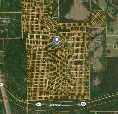 Tbd White Oak Drive Plantersville TX 77363