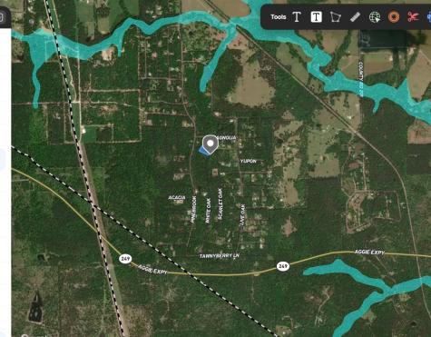 Tbd White Oak Drive Plantersville TX 77363