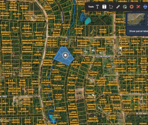 Tbd White Oak Drive Plantersville TX 77363